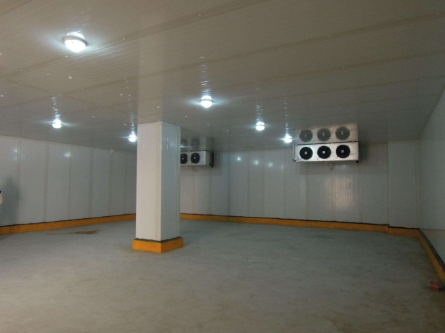 气调冷库